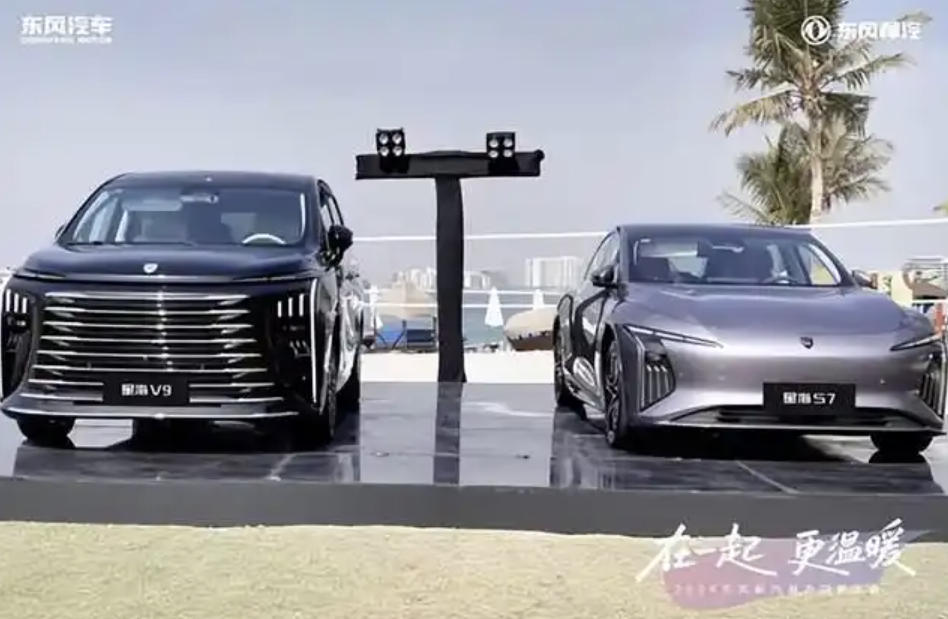 跨洋聚首暖椰岛 同心共启新征程